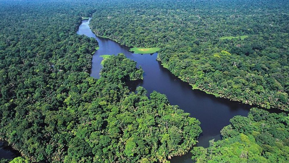 Tortuguero Costa Rica National Park One Day Guided Tour