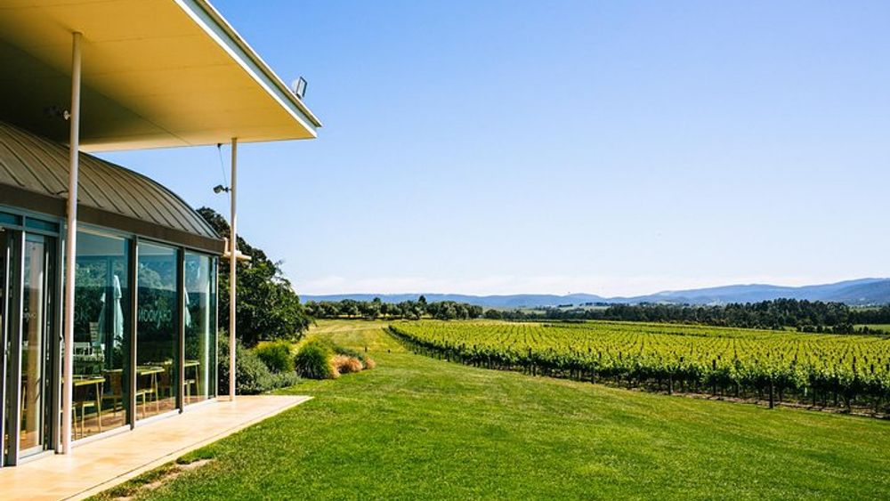 Yarra Valley Winery Tour with Gourmet Lunch from Melbourne