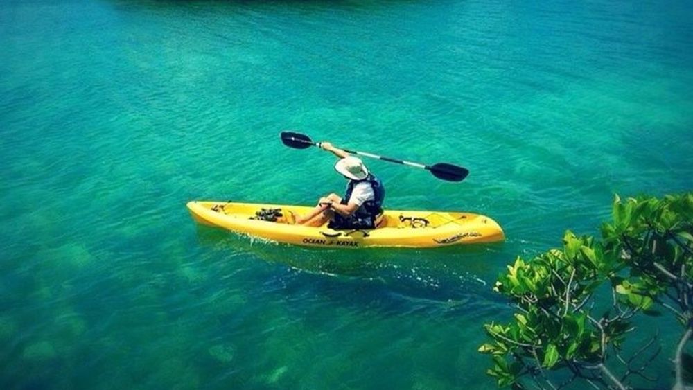 St Thomas Mangrove Lagoon Kayak Rental, Self-Guided Tour
