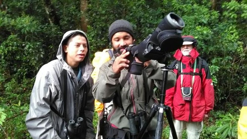 Monteverde Birdwatching Experience