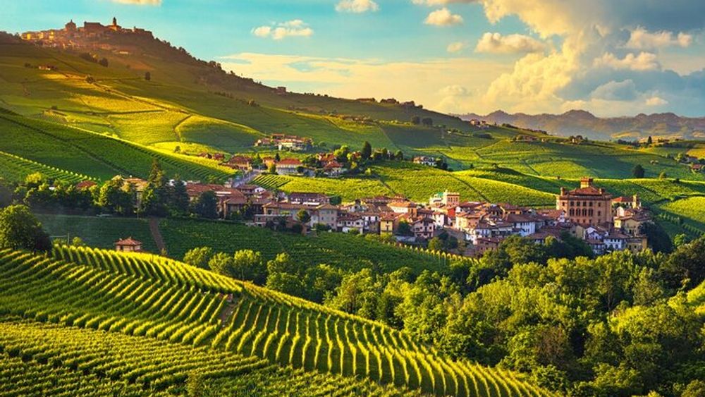Barolo wine Tasting, Alba, UNESCO Castle: Small Group from Milan