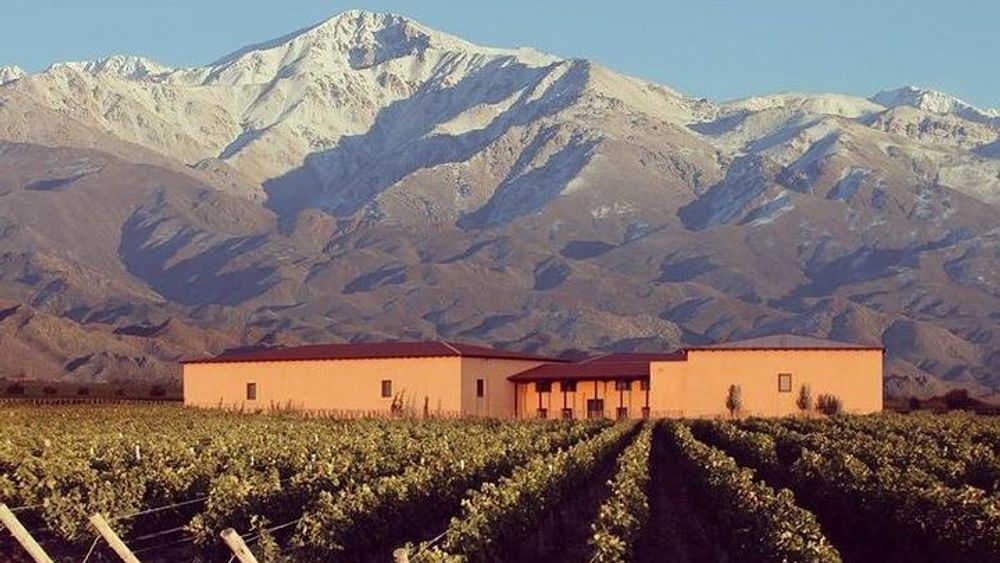 Mendoza Vineyard Tour With Wine Tasting
