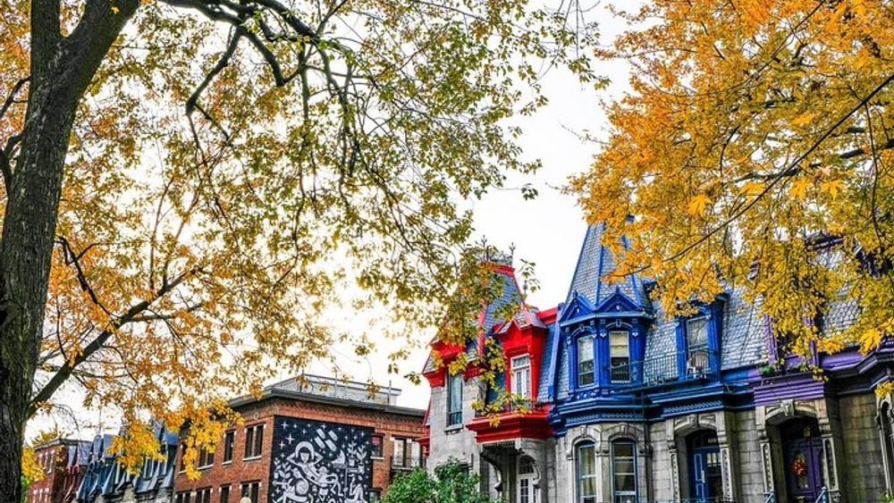 Montreal's Plateau Mont-Royal & Mile End Tour by MTL Detours