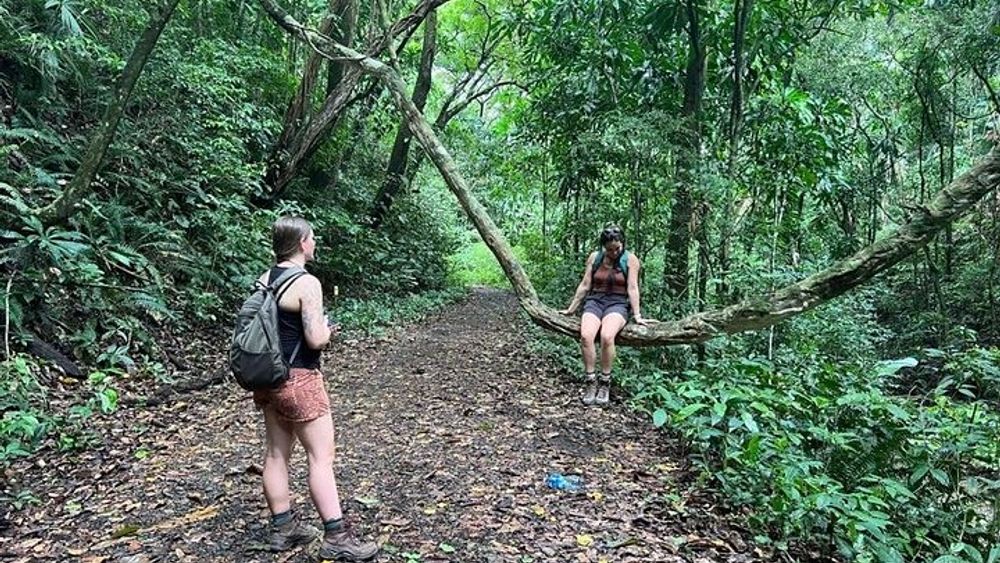 Soberania National Park Hike