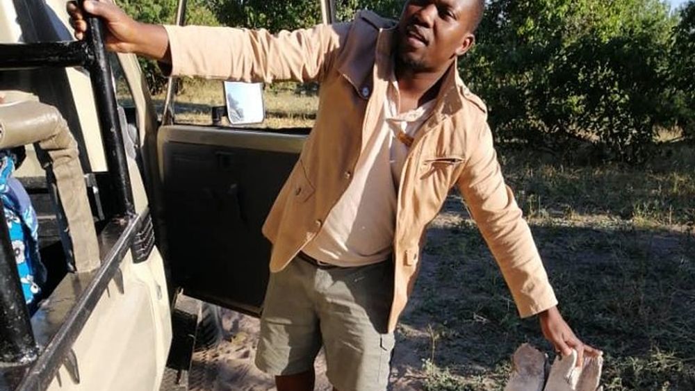 Kasane Small-Group Chobe Game Drive
