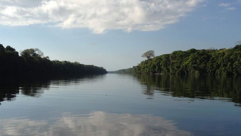 Small-Group 2.5-Hour Wildlife Tour by Canoe, Tortuguero Canals