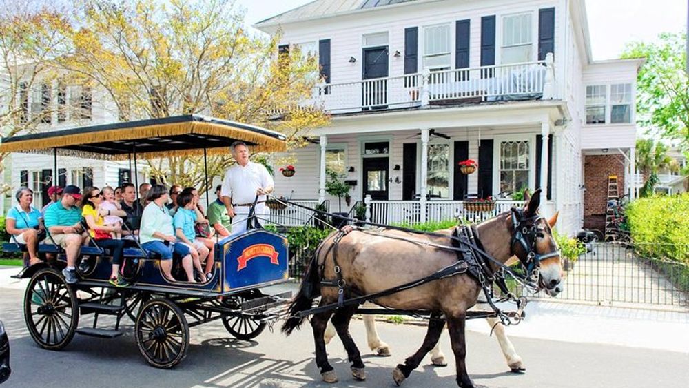 Charleston Carriage Ride and Guided History Tour