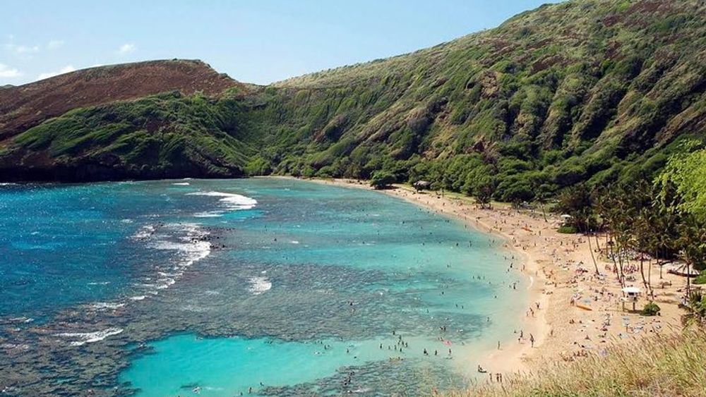 Hanauma Bay Snorkeling