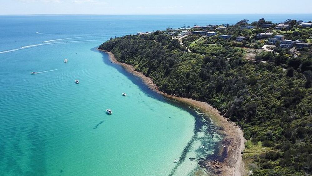 Mornington Peninsula: SUP, Picnic, Bushwalk, Hot Spring
