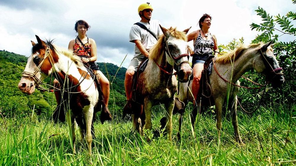 Jaco Horseback Riding, Zipline and Rappel Adventure Tour