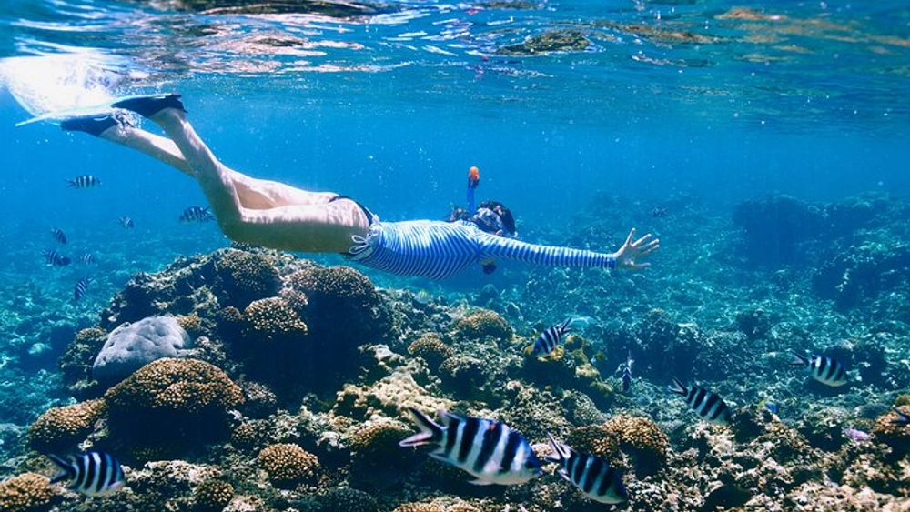 Reef Snorkeling with ATV, Zipline, Cenote that includes lunch and transportation