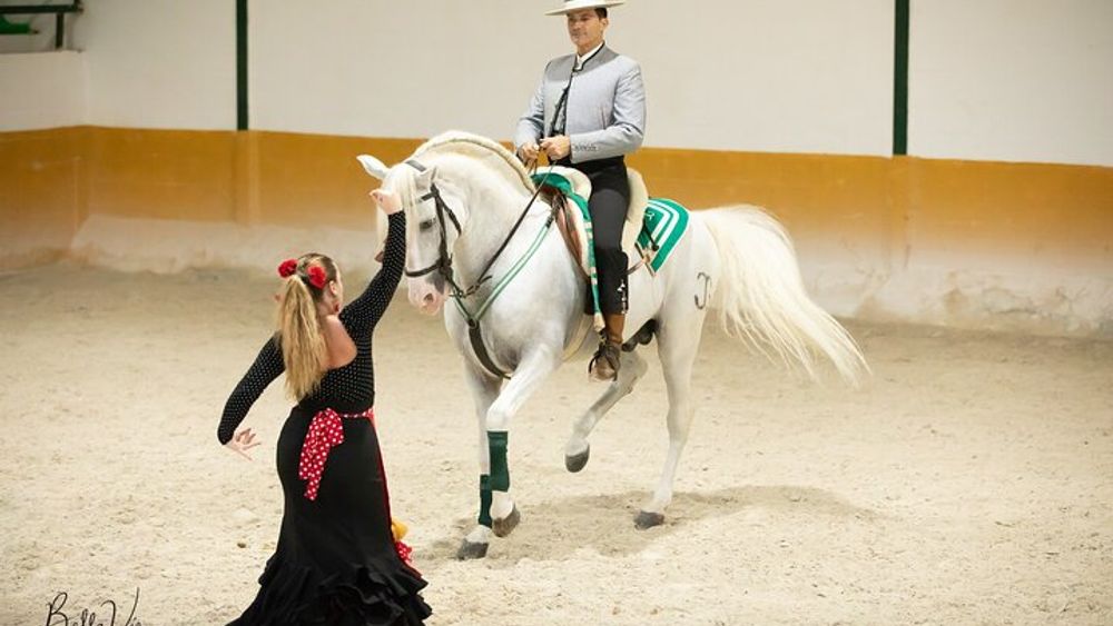 Andalusian Horses and Flamenco show with transportation