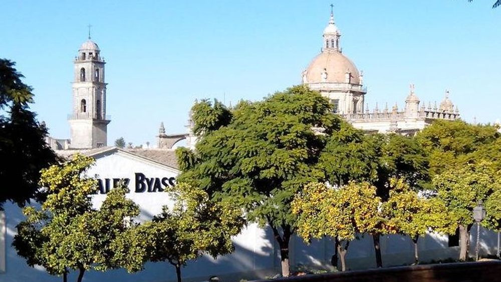 Walking tour in Jerez