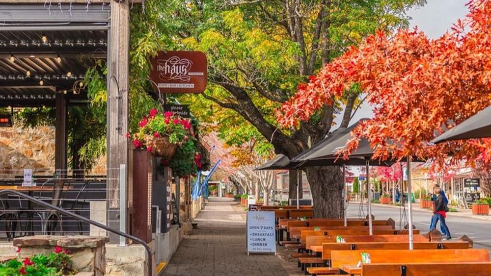 Barossa Valley Full-Day Wine Tour from Adelaide or Glenelg