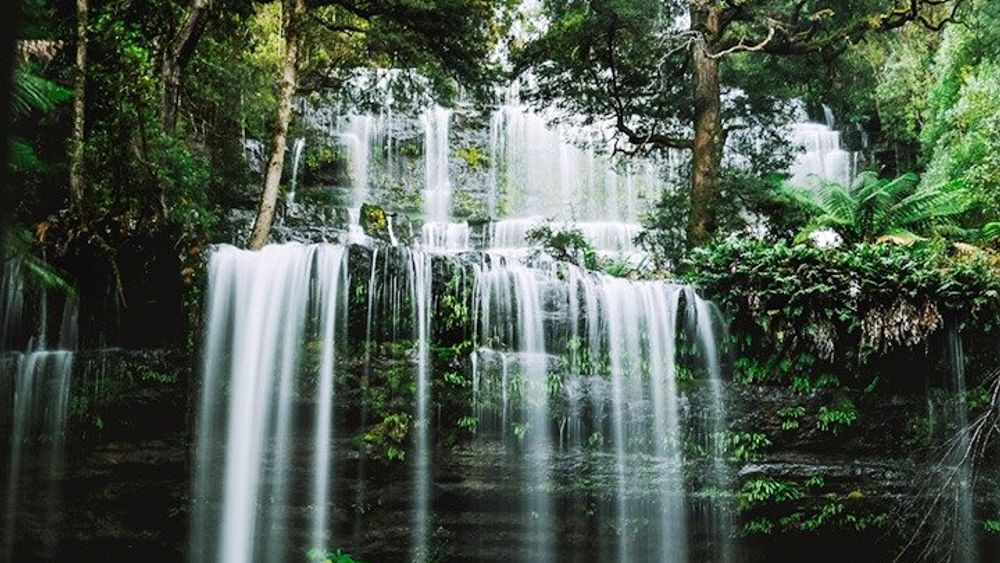 Derwent Valley: Small-Group Tour from Hobart