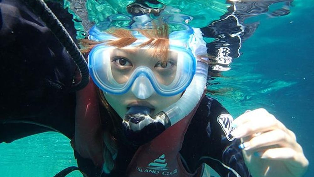 Mesoamerican Barrier Reef Skip-the-Line Small-Group Snorkel