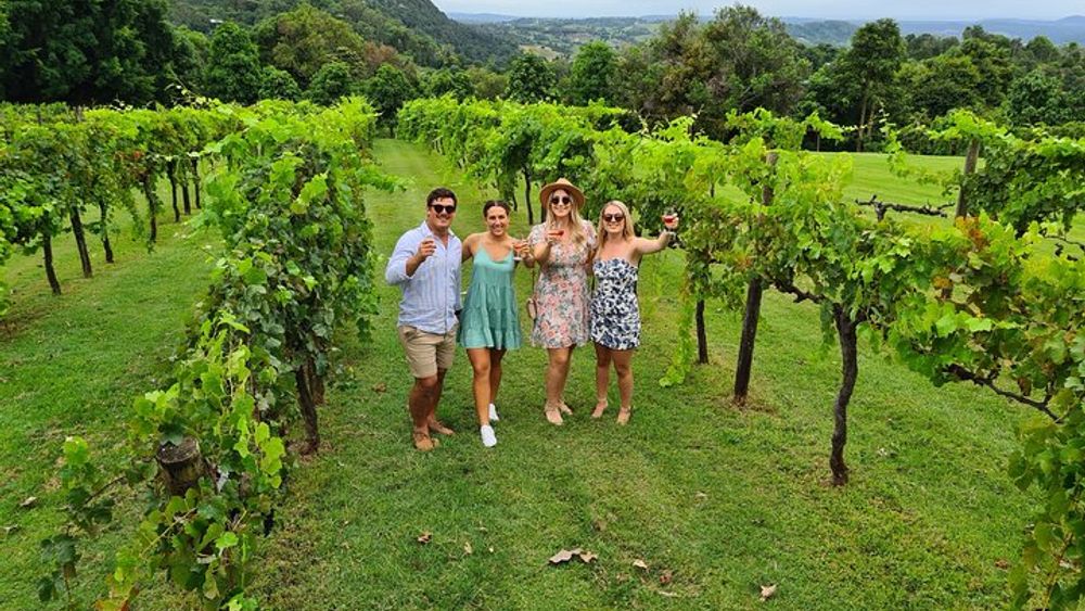 Hinterland Cheese & Wine Tasting Tour - with 2 course lunch included