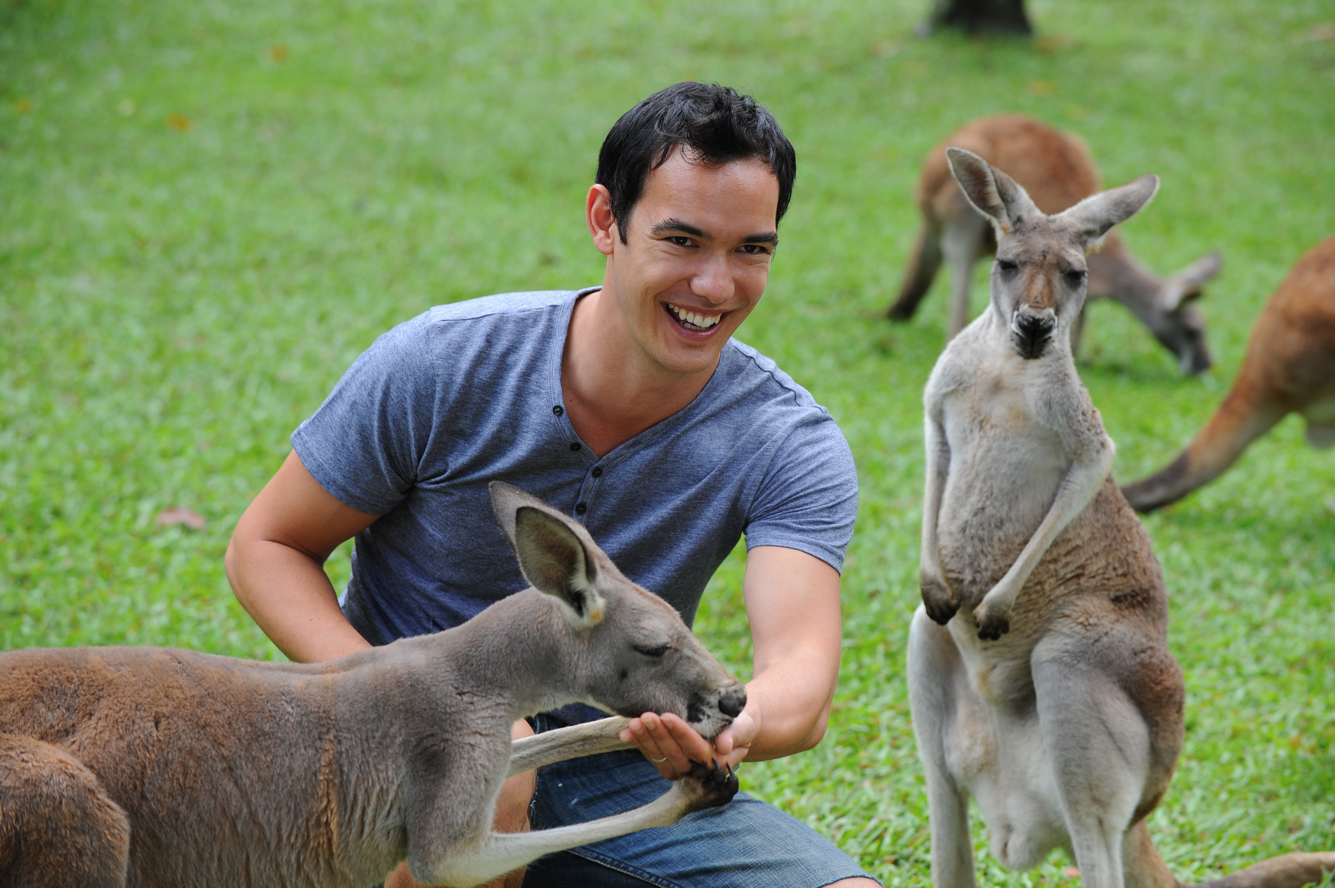 Croc Tours Koala Cuddle Adventure (NOOSA/SUNSHINE COAST)