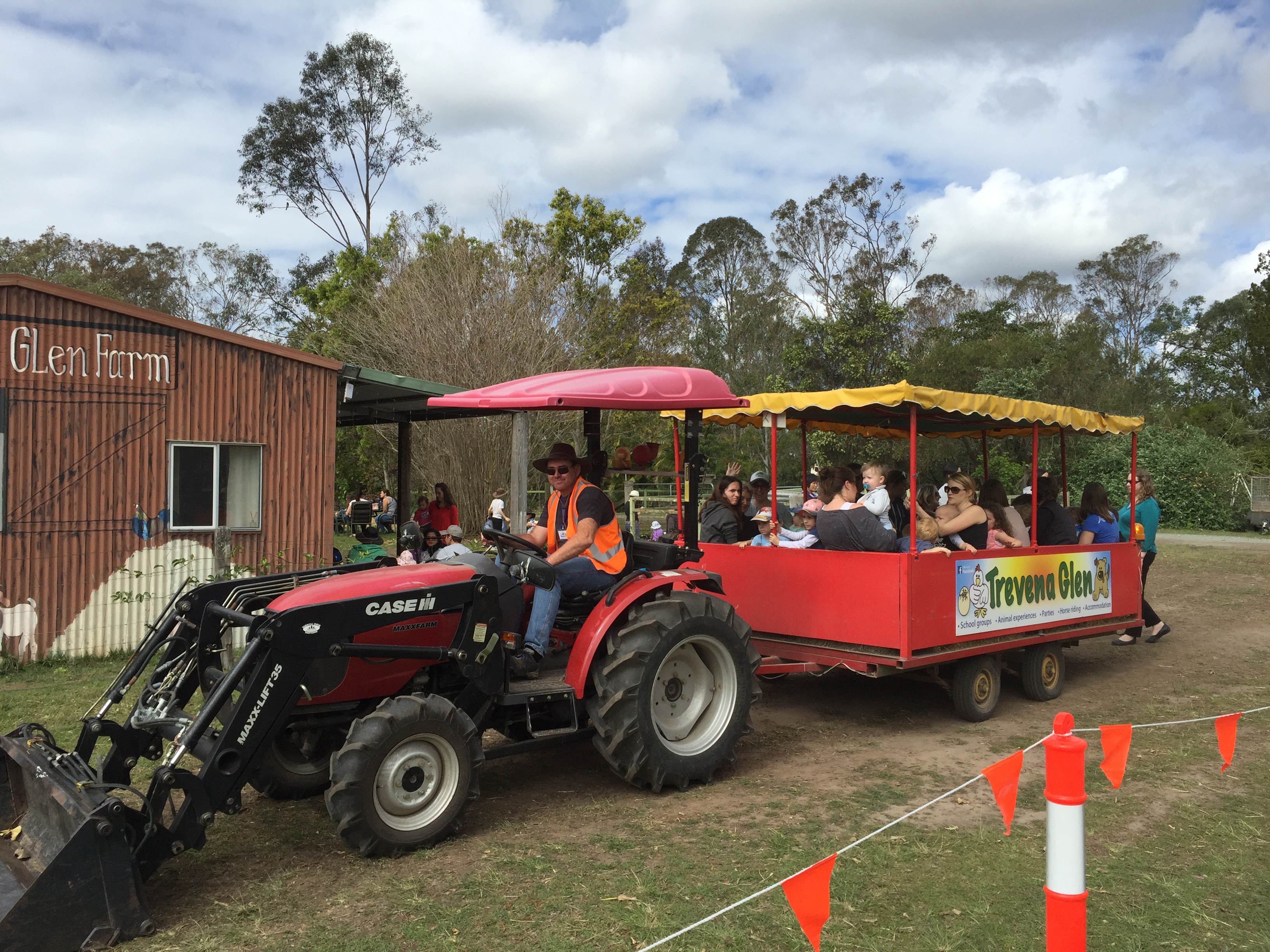Brisbane Half Day Animal Tour