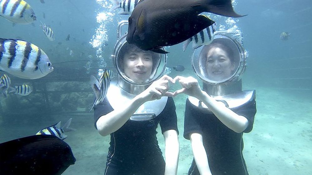 Tanjung Benoa Seawalker Tour