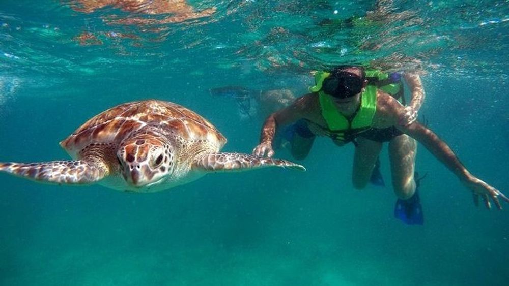 Tulum ruins swim with turtles in Akumal and Cenote