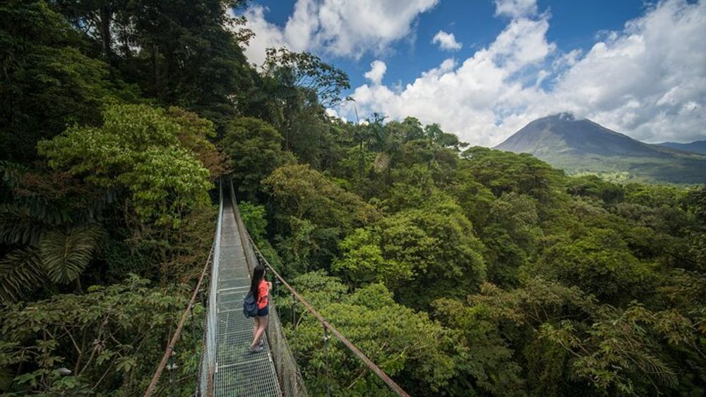 Arenal Hanging Bridges From Arenal