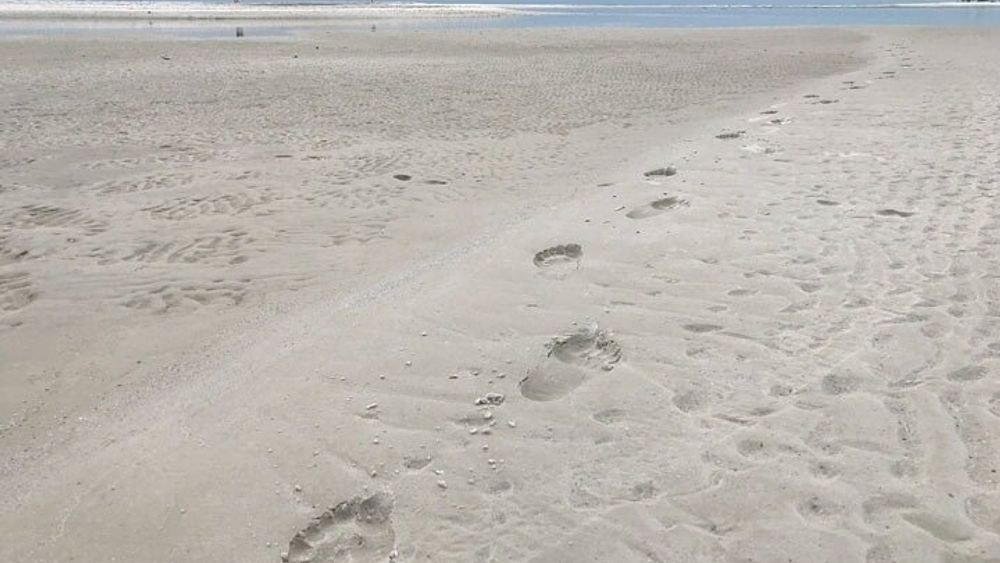 Marco Island Shelling Tour from Goodland