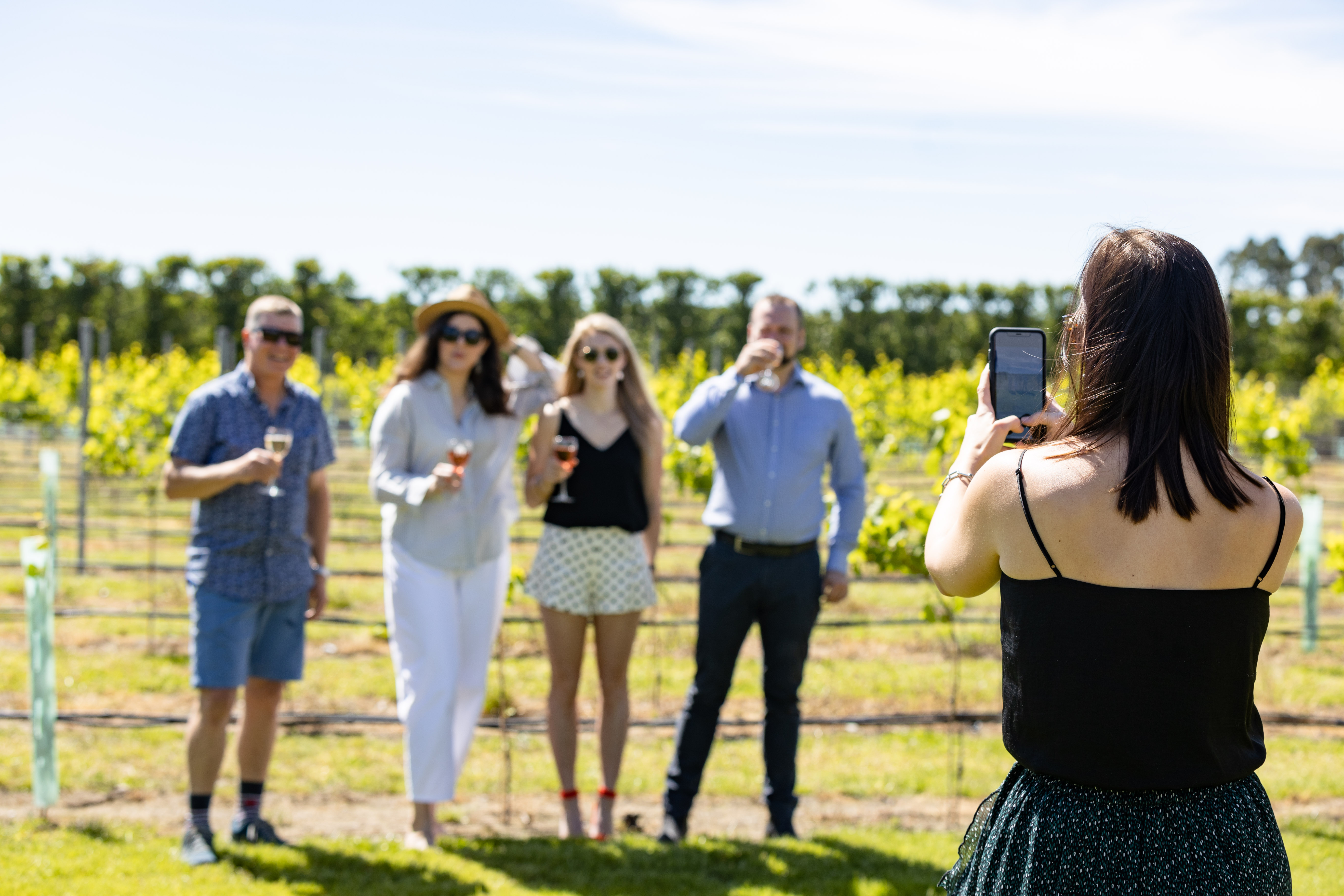 Melton Estate - Private vineyard tour, tasting and winery lunch