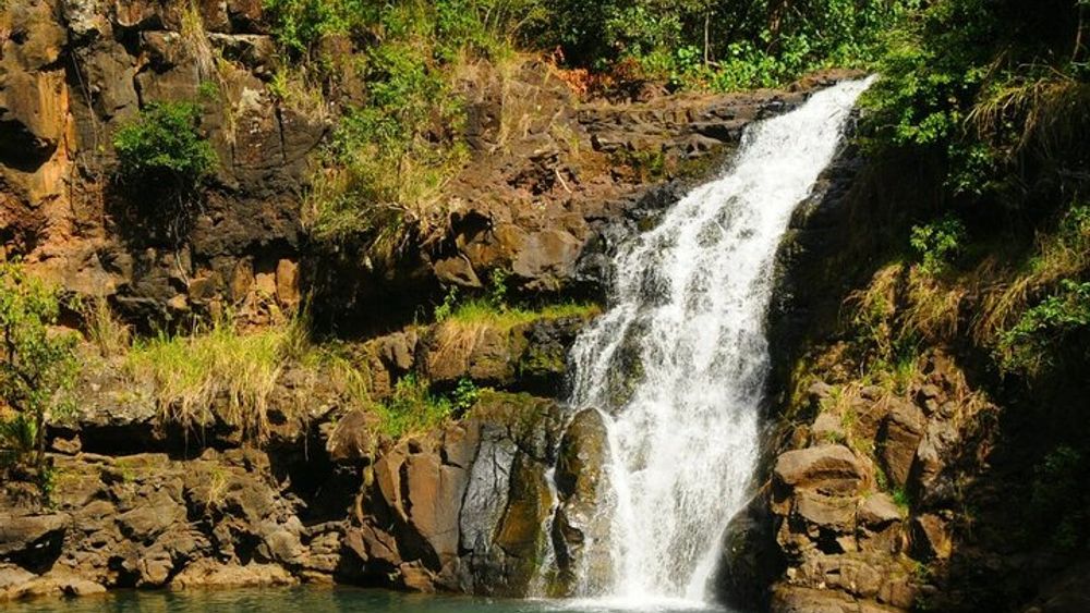 Oahu Circle Island Tour with Waimea Valley Waterfall