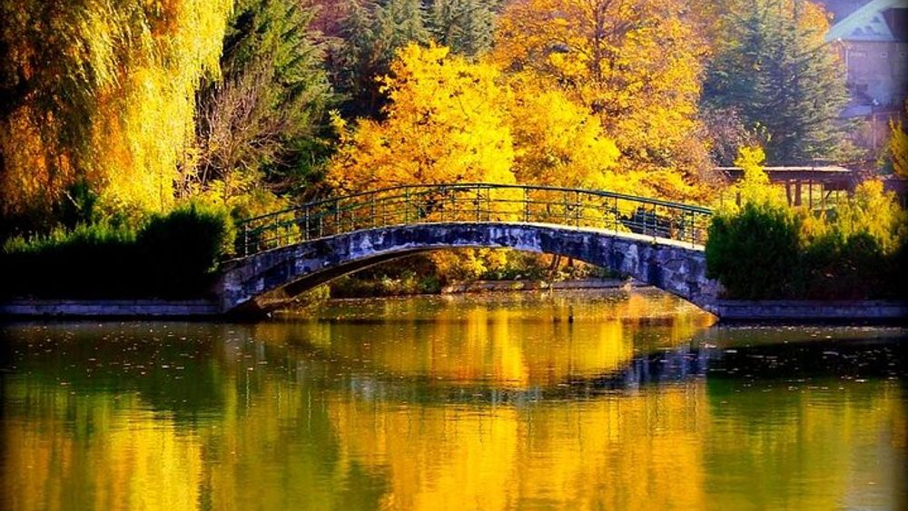 Travel to the Green Dilijan