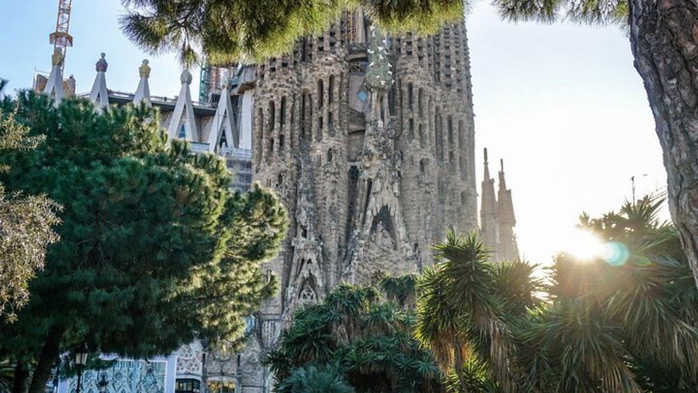 Barcelona Half-Day Small-Group "Best Of" Tour