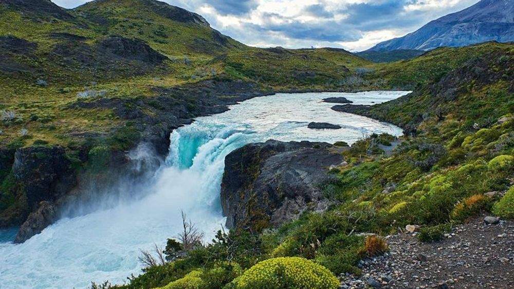 Full Day Torres del Paine