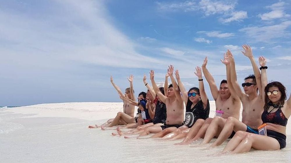Sandbank, Snorkeling, Picnic, and Dolphin Cruise