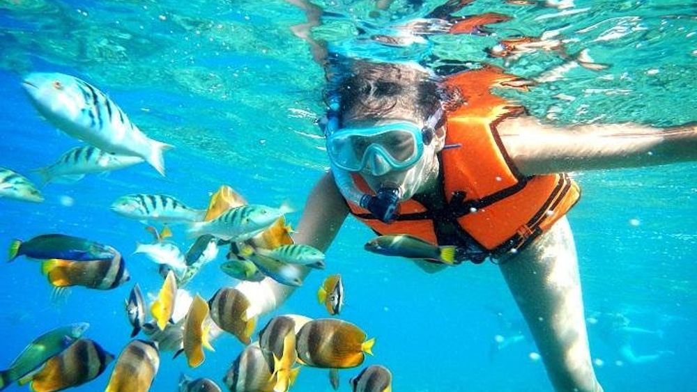 Coral Reef Snorkeling with Lunch and Roundtrip Transportation in Puerto Morelos