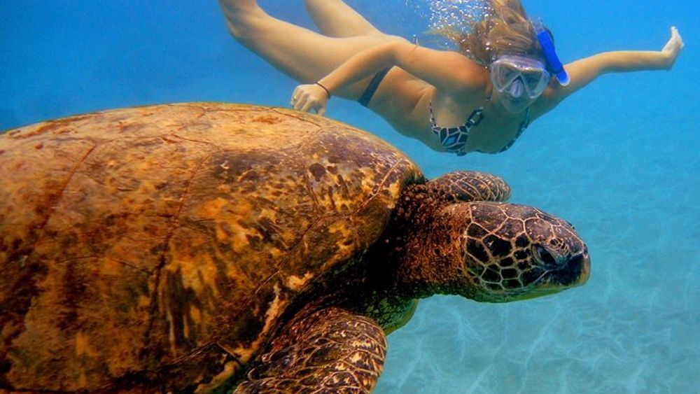 Afternoon Adventure Snorkel from Ka'anapali