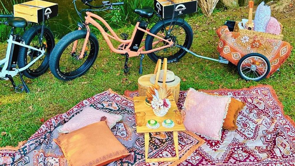 Northern Rivers Rail Trail Ebike and DIY Picnic Hire Full Day