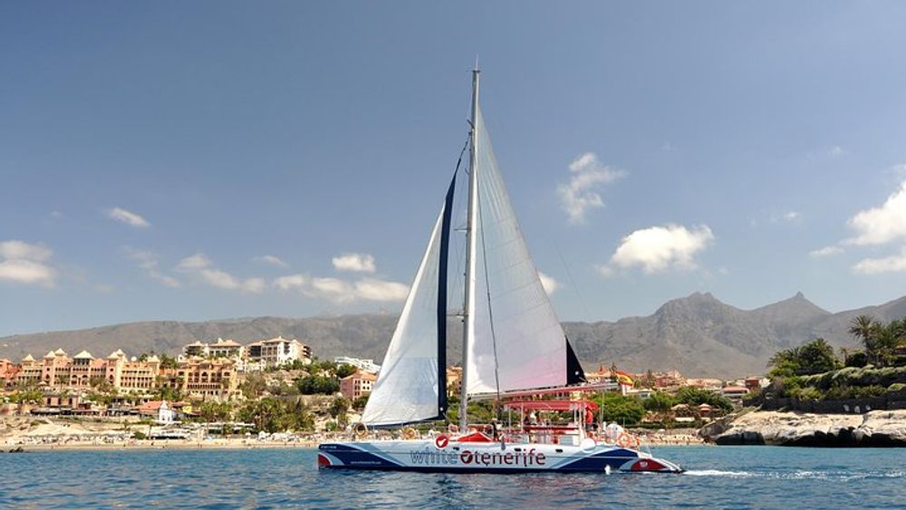 Whales Listening Eco-Catamaran Tour with Food Tasting