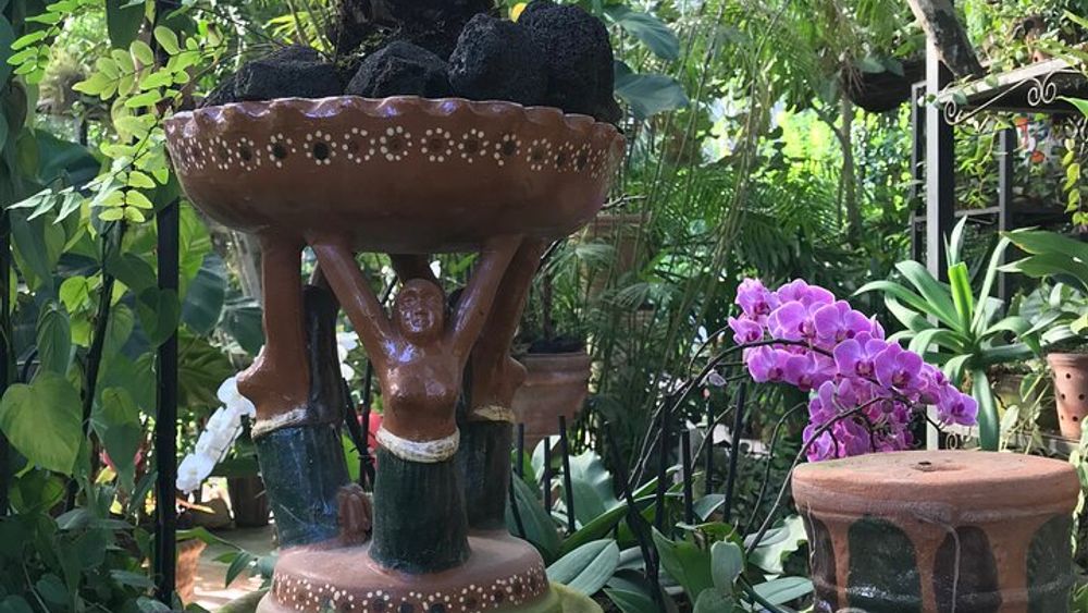 Botanical Gardens & River Adventure Tour