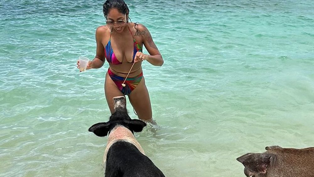 Luxury Catamaran Cruise: Sip, Sail, Snorkel, and Swim with Pigs!