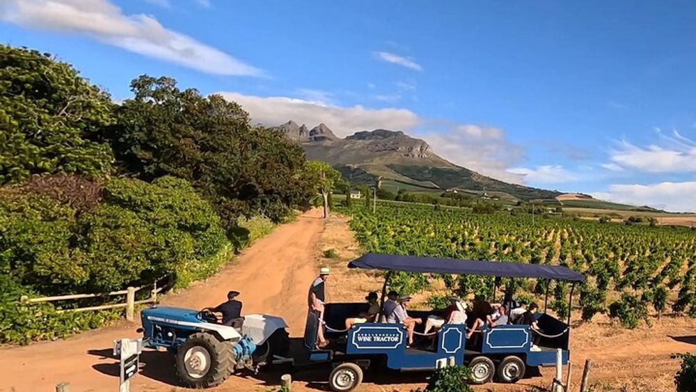 Stellenbosch Wine Tractor Hop On and Hop Off Wine Tasting Tour