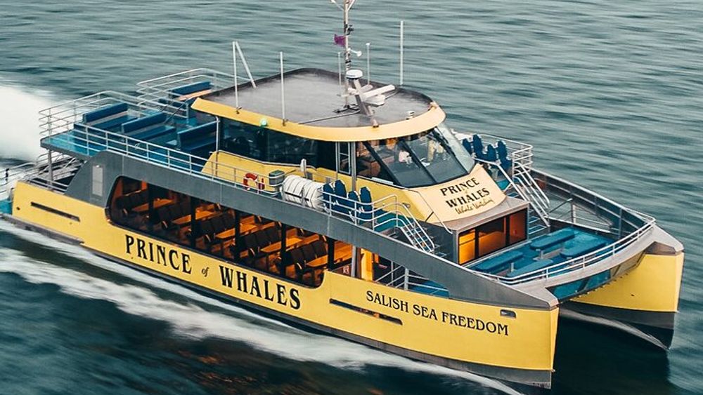 Vancouver Sunset Whale-Watching Cruise