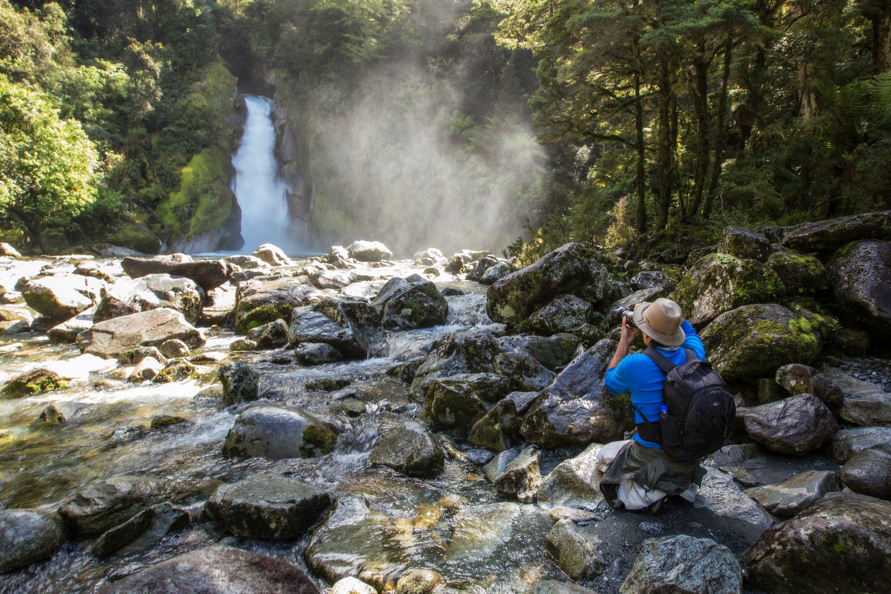 Milford Track Guided Walk 