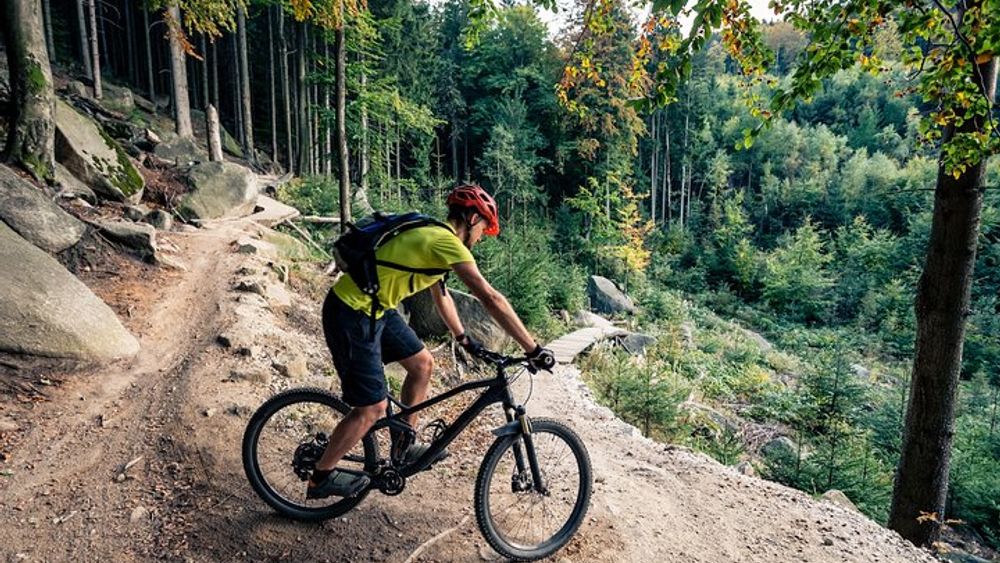Two-Hour Guided Electric Mountain Bike Tour