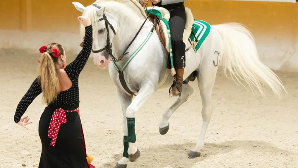 Horse and Flamenco Show in Malaga