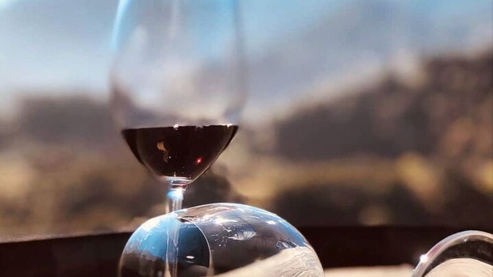 Visiting local Vineyard With Wine Tasting & Lunch included