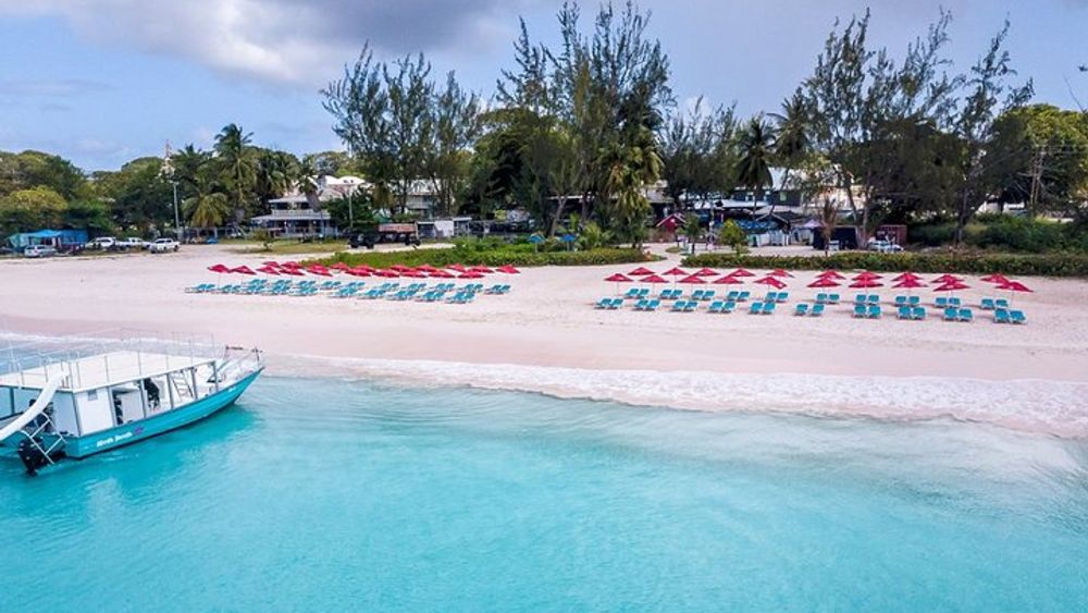 Barbados Beach Lounger & Turtle Snorkel Combo Carlisle Bay