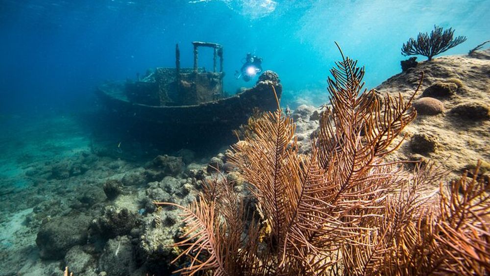 Half day Caracas Bay Snorkelling Adventure