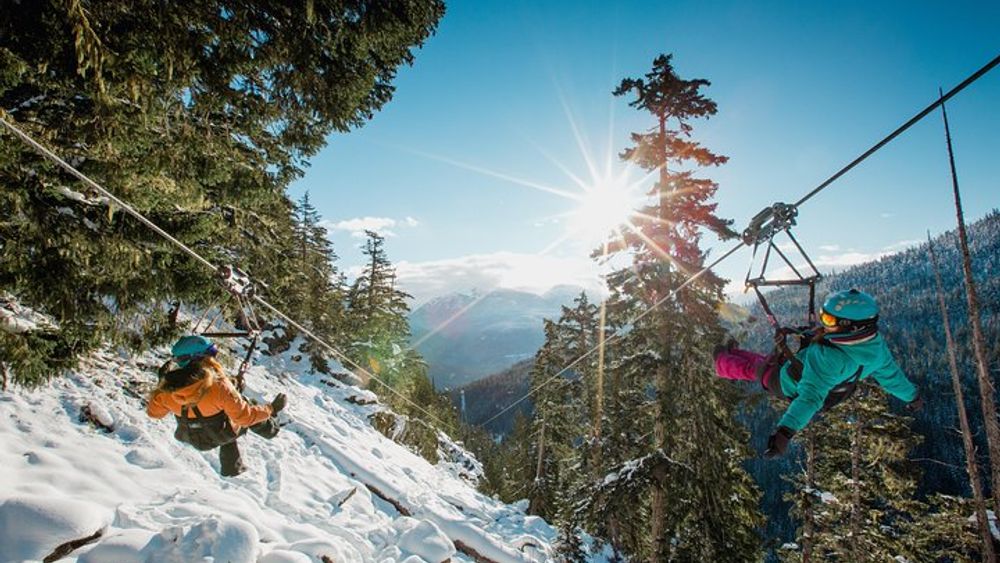 Whistler Zipline Experience from Cougar to Rainbow Mountain