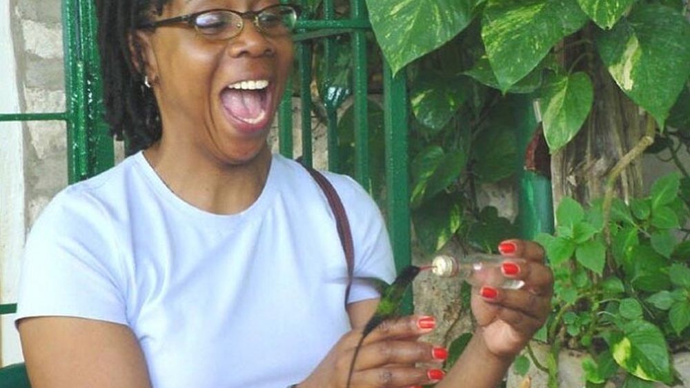 Rocklands Bird Sanctuary & City Highlights plus Shopping from Montego Bay