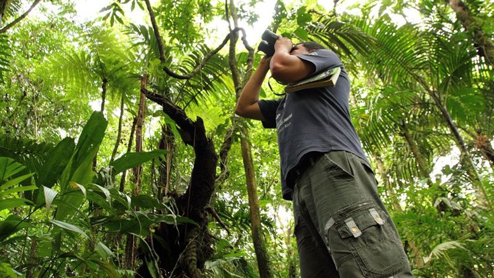 Birdwatching at Mundo Aventura Natural Park